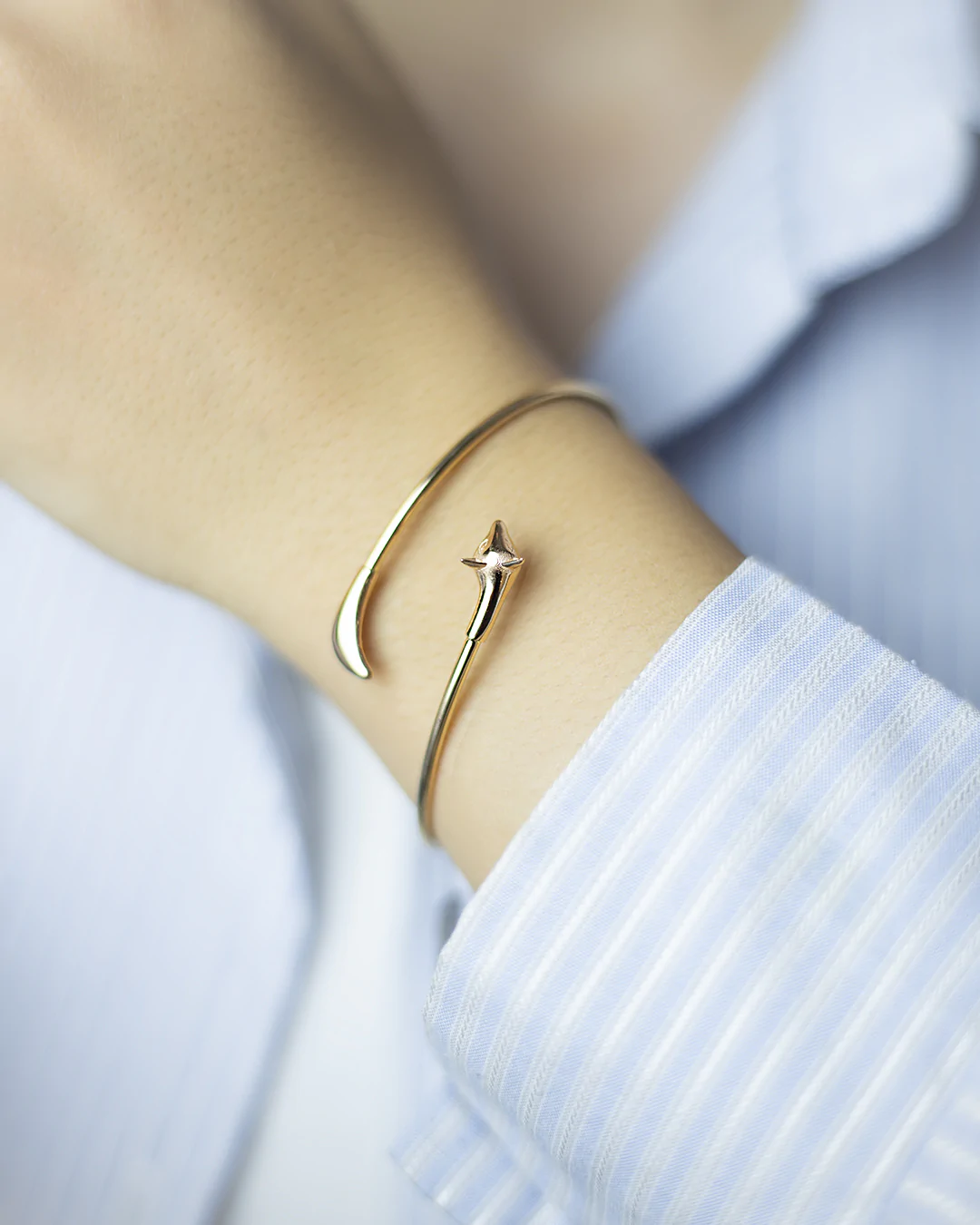 بنگل مدل روباه